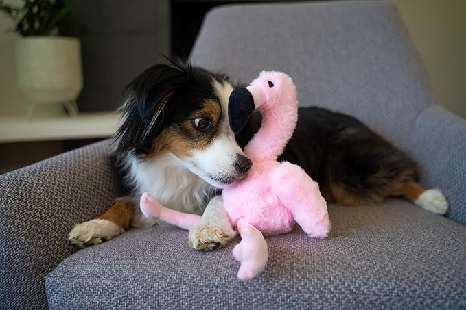 Flourish Pets 3 in 1 Multi-Layer Chew Toy for Active Dogs | Non-Toxic BPA Free Double Stitched Soft Fabric Exterior Dog Toys | Long-Lasting Dog Plush Toys – Large Flamingo 17.5"