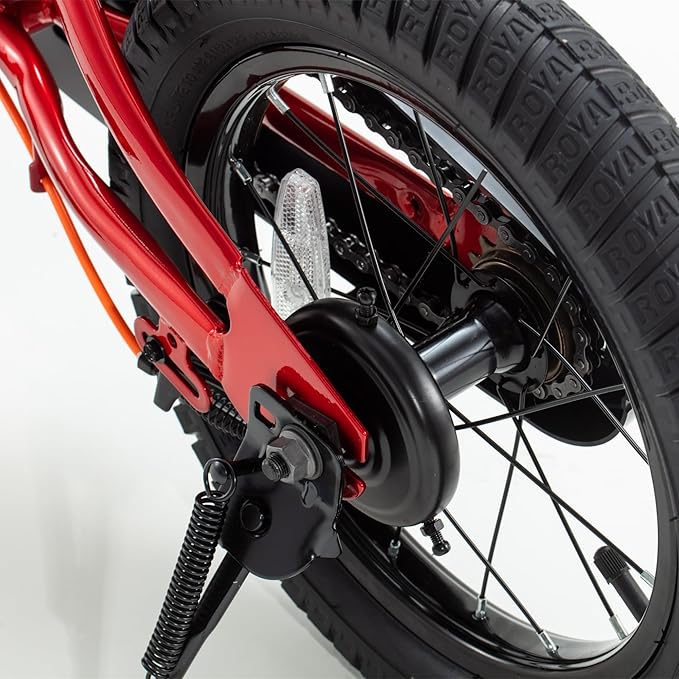 RoyalBaby Kids Bike EZ Balance to Pedal Dual Handbrake Toddlers Boys Girls Bicycle 12-20 Inch for Age 3-10 Years