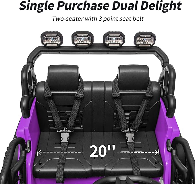 2 Seater Electric Ride on Car Truck, 24V 4x4 Ride on Toy for Kids 4-8 with Remote Control, EVA Tires - Purple