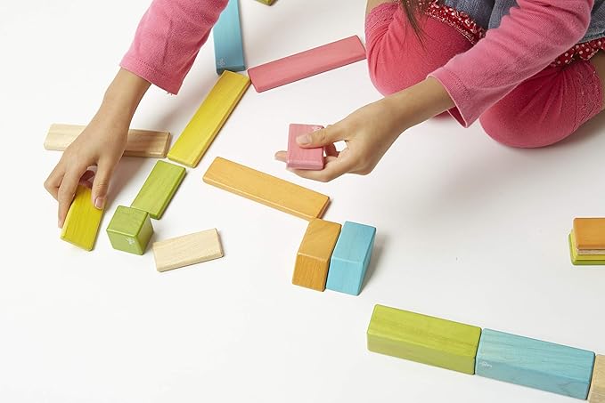 24 Piece Tegu Magnetic Wooden Block Set, Natural, 1-99 years old