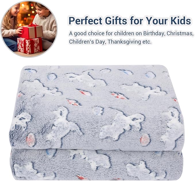 Viviland Kids Throw Blanket Glow in The Dark, Dinosaur Toddler Blankets for Boys, Soft Warm Lightweight Plush Throw Blanket Fleece for Sofa Chair Couch Bed Gift for Kids, 30" x 40"