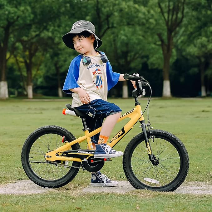 RoyalBaby Kids Bike EZ Balance to Pedal Dual Handbrake Toddlers Boys Girls Bicycle 12-20 Inch for Age 3-10 Years