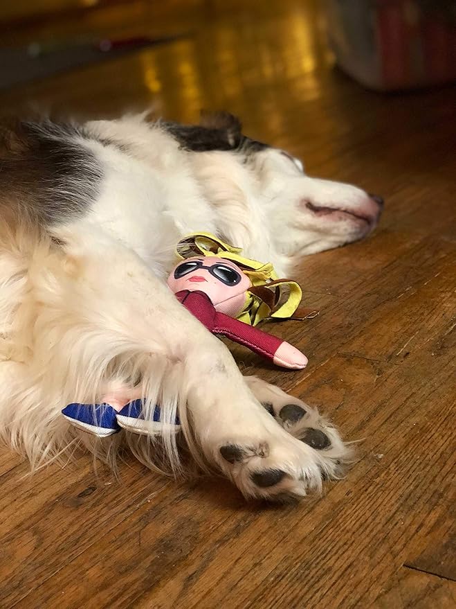 Taylor Toy Dog Toys, Karen Squeaky Dog Plush Toys for Puppies & Adults (Small to Large) - Durable Chew Stuffed Animal for Aggressive Chewers, Funny Interactive Gift with Squeakers for Playtime