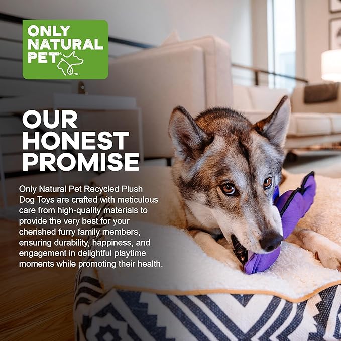 Only Natural Pet Sea Creatures Recycled Plush Dog Toys - Durable Double-Stitched Design with Internal Squeaker, Crinkle Coronet & Squishable Belly - Squeaky Pet Toy | Sedgwick The Seahorse, 4" x 11"