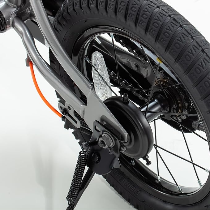 RoyalBaby Kids Bike EZ Balance to Pedal Dual Handbrake Toddlers Boys Girls Bicycle 12-20 Inch for Age 3-10 Years