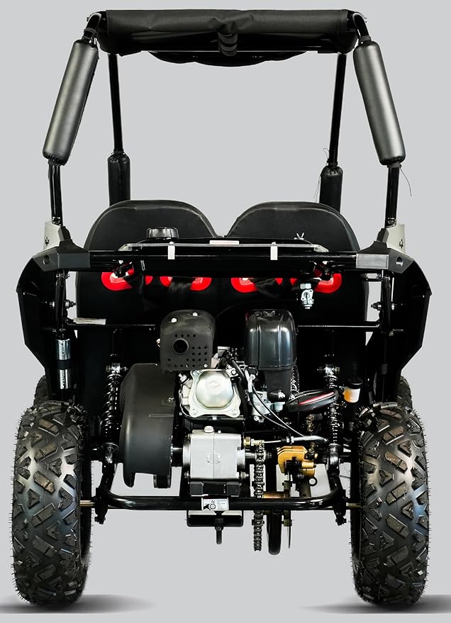 TrailMaster Cheetah 6 Youth Go-Kart - 163cc 5.5HP Engine, 4-Point Safety Belt, Remote Kill, Speed Governor, Suitable for Kids 6-12. with Pre-Assembled Version Now! (Plus, Red)