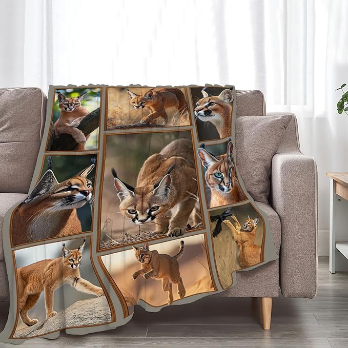 Caracal Blanket African Caracal Animal Lover Throw Blankets Gifts for Girls Boys Kids Soft Cozy Fleece Plush for Couch Sofa Bed 50"x40"