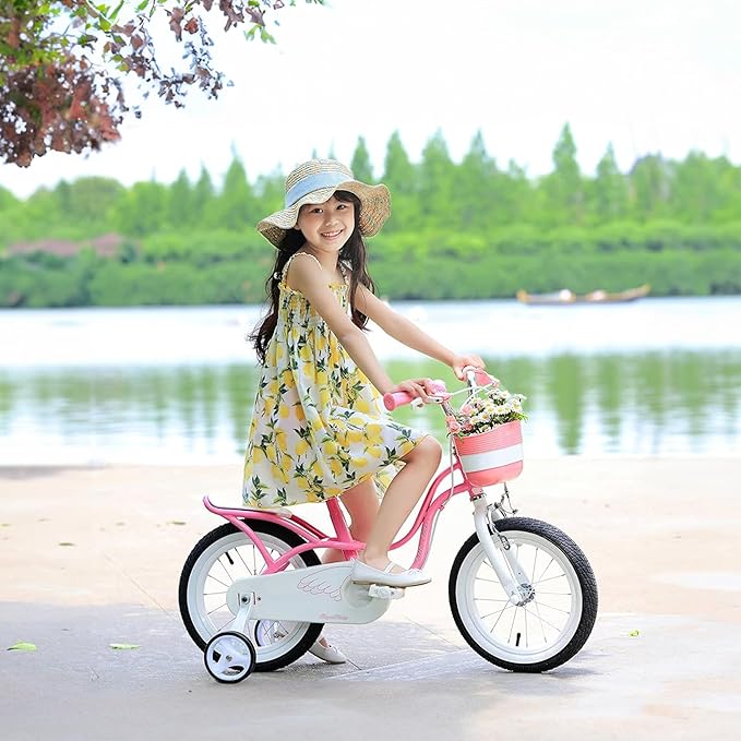 Royalbaby Princess Girls Kids Bike 12 14 16 18 20 Inch Children Bicycle with Basket for Age 3-12 Years