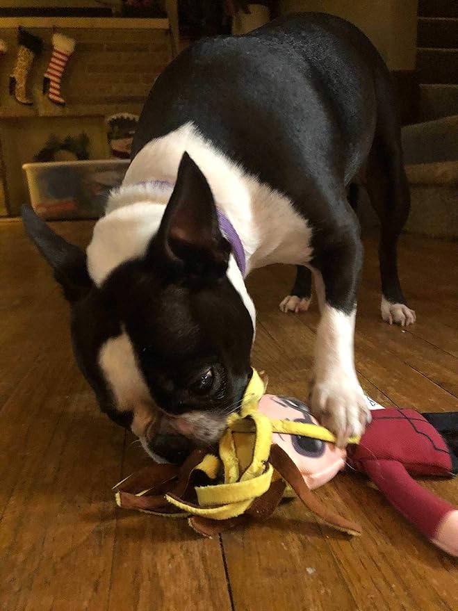 Taylor Toy Dog Toys, Karen Squeaky Dog Plush Toys for Puppies & Adults (Small to Large) - Durable Chew Stuffed Animal for Aggressive Chewers, Funny Interactive Gift with Squeakers for Playtime