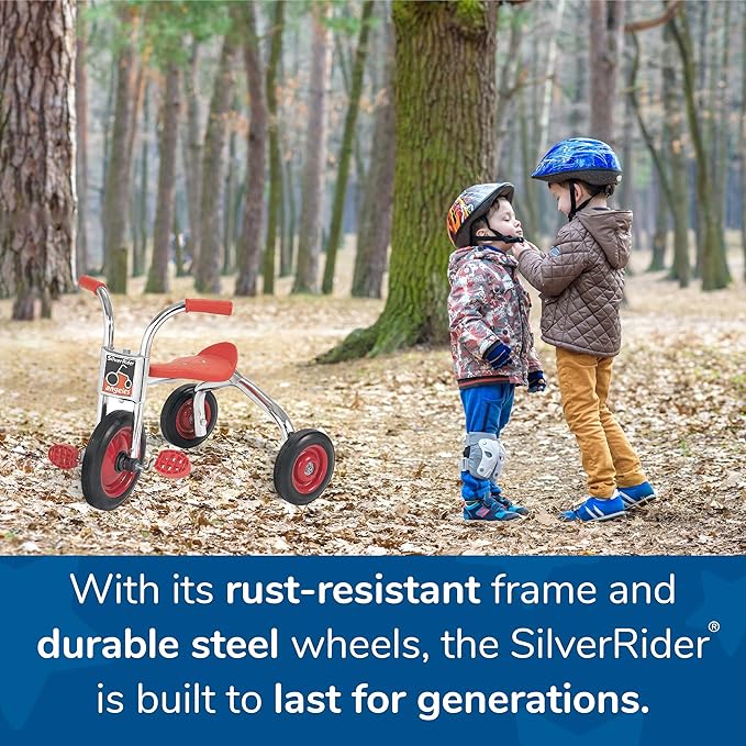 SILVERRIDER Toddler Trike, Kids Tricycle for Preschool, Daycare, Playground Kids Tricycles, Rubber Tires, Silver/Black, 14" Trike