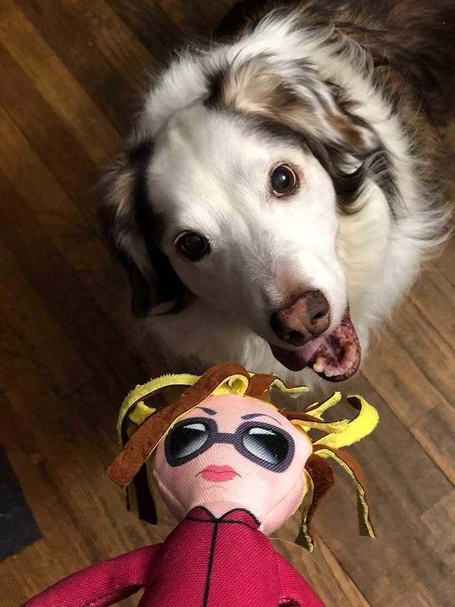 Taylor Toy Dog Toys, Karen Squeaky Dog Plush Toys for Puppies & Adults (Small to Large) - Durable Chew Stuffed Animal for Aggressive Chewers, Funny Interactive Gift with Squeakers for Playtime