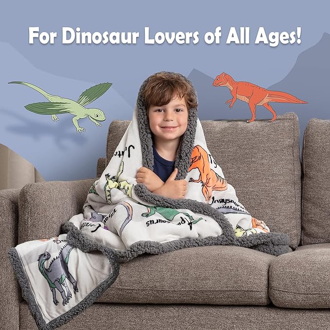 Alphabet Dinosaur Blanket - 50x60 inch Plush Mink & Sherpa Fleece Dinosaur Throw Blankets - Adorable Dino Blanket for Boys or Girls, with 26 Dinos A-Through-Z