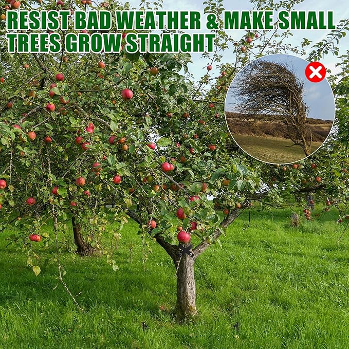 Lasnten 6 Set Tree Stake Kits Heavy Duty Tree Staking and Supports Straps Ties for Straightening Leaning Young Trees Stabilizer Metal Spiral Stakes Anchors Protects from Bad Weather (Black)