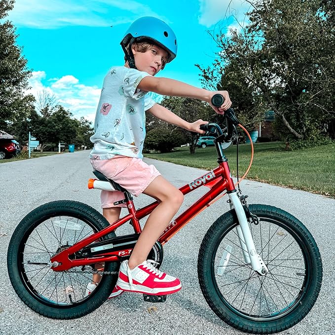 RoyalBaby Kids Bike EZ Balance to Pedal Dual Handbrake Toddlers Boys Girls Bicycle 12-20 Inch for Age 3-10 Years
