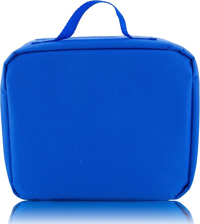 Fast Forward Bluey Lunch Box for Kids | Bluey and Bingo Insulated Lunch Bag Lunch Box for Boys, Girls, Unisex, Toddlers| Bluey Blue Reusable Lunchbox