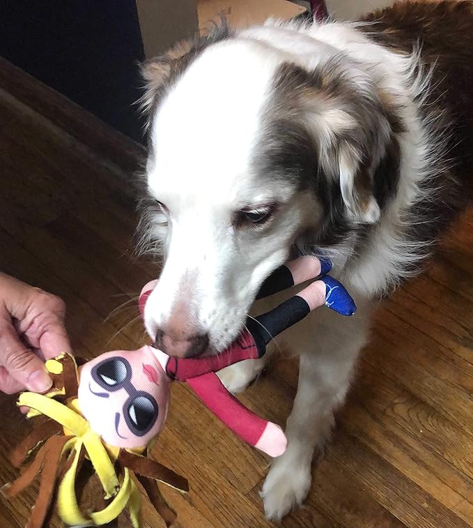 Taylor Toy Dog Toys, Karen Squeaky Dog Plush Toys for Puppies & Adults (Small to Large) - Durable Chew Stuffed Animal for Aggressive Chewers, Funny Interactive Gift with Squeakers for Playtime