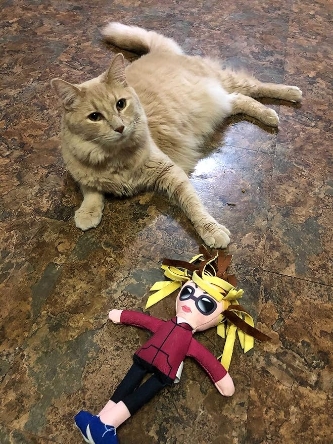 Taylor Toy Dog Toys, Karen Squeaky Dog Plush Toys for Puppies & Adults (Small to Large) - Durable Chew Stuffed Animal for Aggressive Chewers, Funny Interactive Gift with Squeakers for Playtime