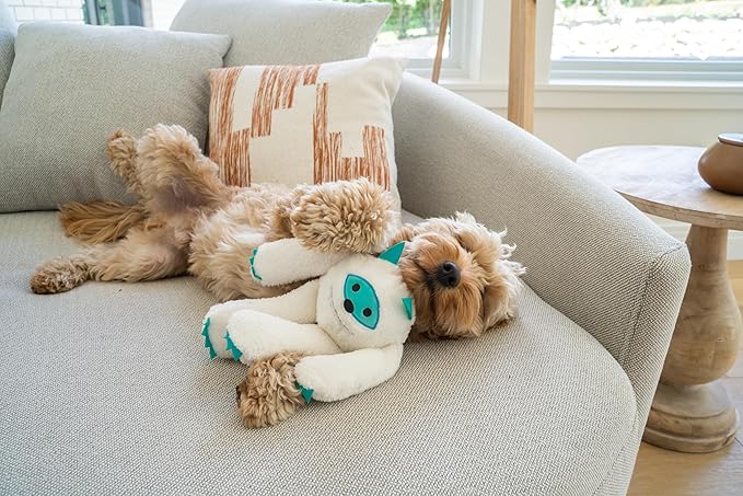 Flourish Pets 3 in 1 Multi-Layer Chew Toy for Active Dogs | Non-Toxic BPA Free Double Stitched Soft Fabric Exterior Dog Toys | Long-Lasting Dog Plush Toys - Large Yeti/Sloth 5"