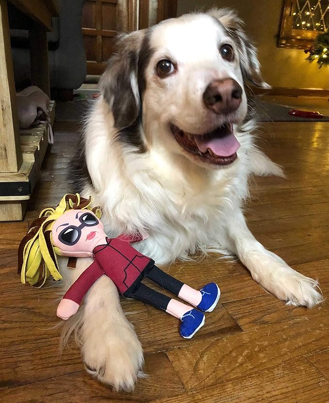 Taylor Toy Dog Toys, Karen Squeaky Dog Plush Toys for Puppies & Adults (Small to Large) - Durable Chew Stuffed Animal for Aggressive Chewers, Funny Interactive Gift with Squeakers for Playtime